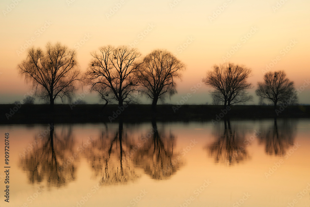 Evening sunset calm spring river bank with trees Evening sunset calm spring river bank with trees