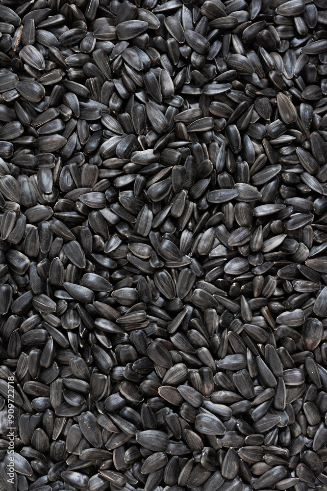 Sunflower seeds background, closeup of roasted seeds. Close up of sunflower seeds as background, top view Sunflower seeds background, closeup of roasted seeds. Close up of sunflower seeds as background, top view