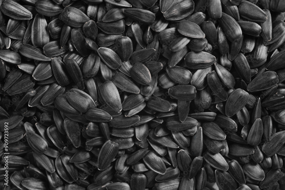 Sunflower seeds background, closeup of roasted seeds. Sunflower seeds background, closeup of roasted seeds.