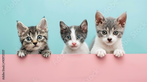 Common cute domestic animal pets hanging over a white horizontal website banner or social media cover isolated on colorful background