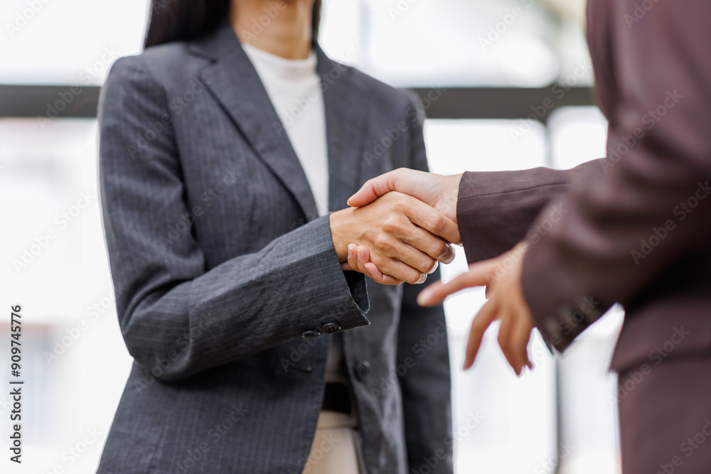 Obraz premium Two happy professional business women executive leaders shaking hands at office meeting. Smiling business woman standing greeting partner with handshake. Leadership, trust, partnership concept.