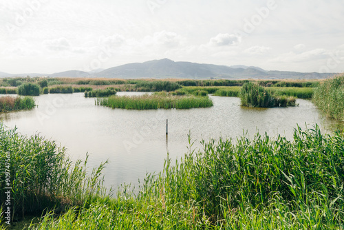  view of Marjal dels Moros in Sagunt,Pucol, Valencia, Spain. Bird watching