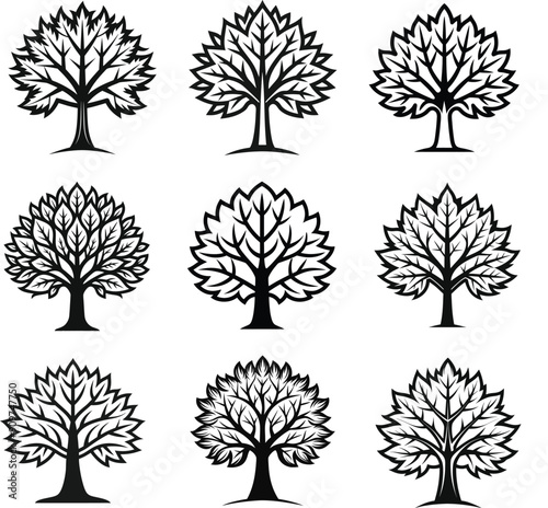 Maple Tree Vector Stock Illustrations, Royalty-Free Vector Graphics & Clip Art