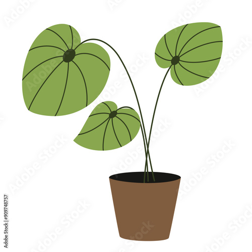 House green leaf plant growing in planter. Potted houseplant. Natural foliage interior indoor decoration. Modern organic room decor with leaves. Flat vector illustration isolated on white background