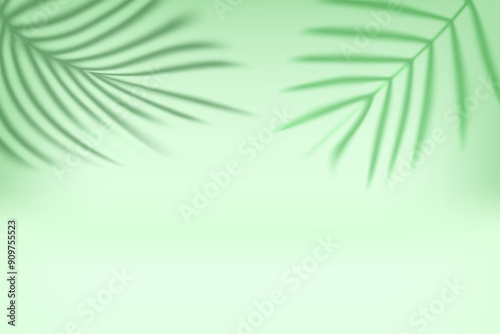 Bright interior with shadow of palm green leaves on the wall. 3d vector illustration