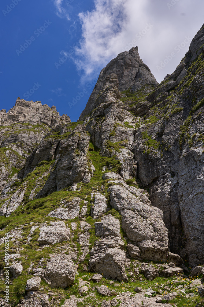 Mountain landscape in the summer Mountain landscape in the summer