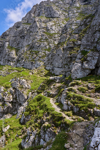 Mountain landscape in the summer