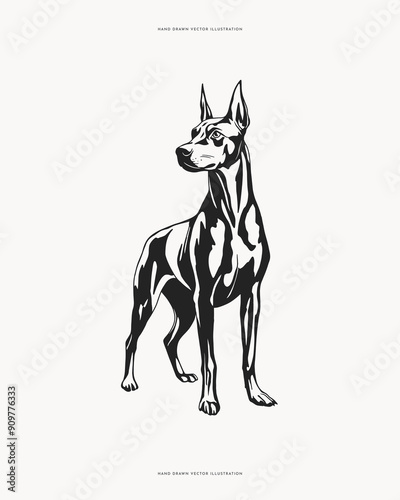 Hand-drawn vector illustration of a Doberman Pinscher standing alert. Detailed black and white artwork, ideal for dog-themed designs and illustrations.