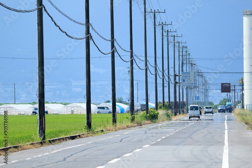 水田の中を通るまっすぐな道ぞいに立つたくさんの電柱 photo