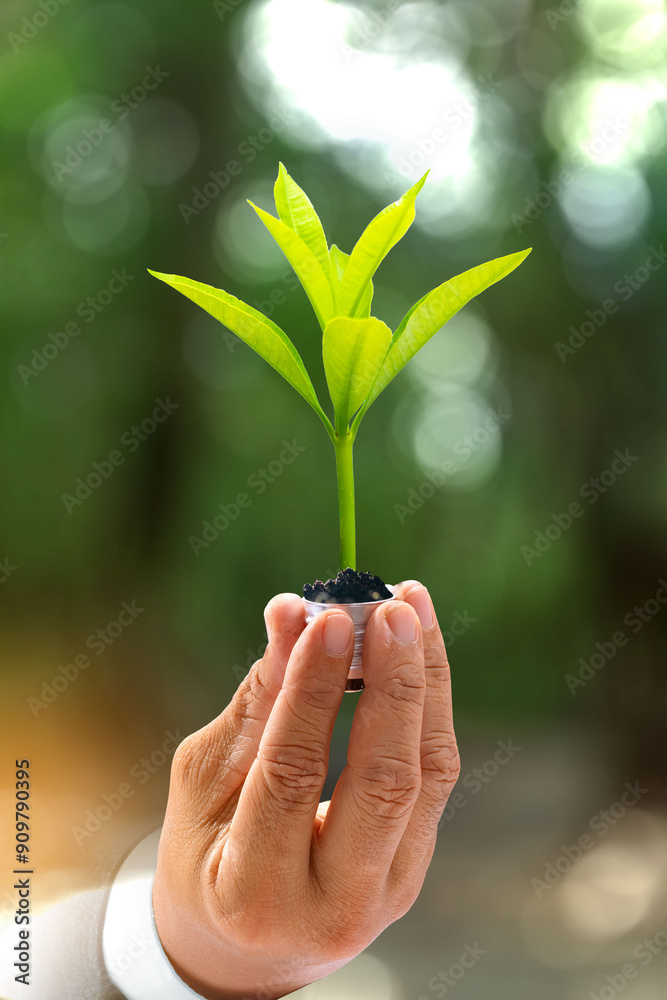 Sustainable business with the planet through renewable energy and green CO2 emissions, whereby using renewable energy can limit climate change and global warming. Sustainable business with the planet through renewable energy and green CO2 emissions, whereby using renewable energy can limit climate change and global warming.