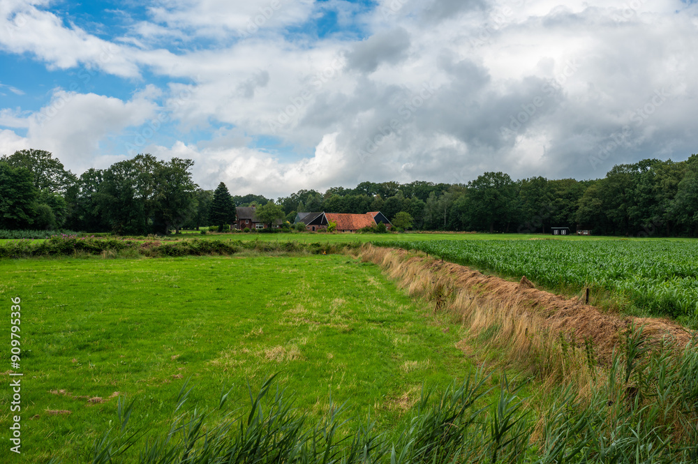 Φωτογραφία Green meadows and farm houses at the Dutch countryside around Ootmarsum, Overijs