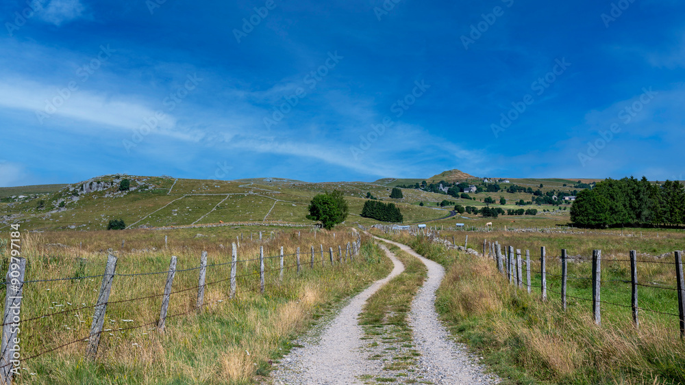 Naklejka premium Paysage pittoresque du plateau de l'Aubrac sur le chemin de Saint Jacques de Compostelle en été