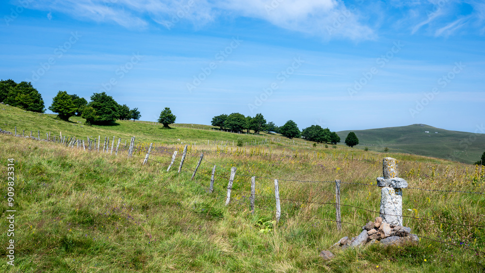 Φωτογραφία Paysage pittoresque du plateau de l'Aubrac dans le département de la Lozère en F