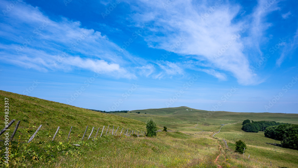 Obraz premium Paysage pittoresque du plateau de l'Aubrac dans le département de la Lozère en France en été sur le chemin de Saint Jacques de Compostelle