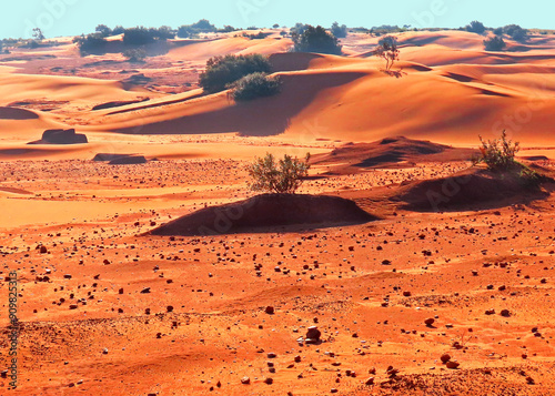 Xolobeni Red Desert