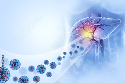 Human liver with hepatitis virus. 3d illustration