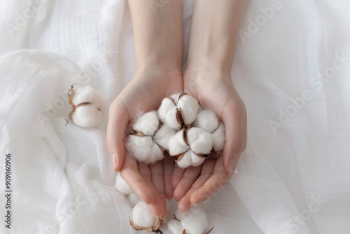 Delicate hands holding cotton bolls on white fabric background
