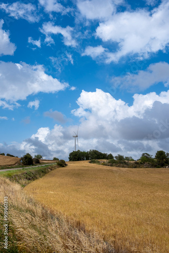 A solitary wind turbine stands tall amid golden fields under a sky with fluffy white clouds, representing the intersection of agricultural landscapes and green energy solutions in Tarragona Spain photo