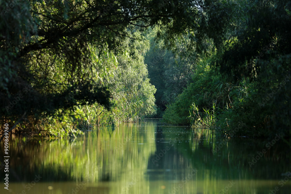 Landscape of Danube delta near Tulcea in Romania