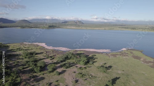 High view drone shot of Lake Elementaita, revealing large numbers of flamingos photo