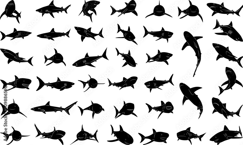 sharks in different angles set, silhouette collection, on white background vector sharks in different angles set, silhouette collection, on white background vector