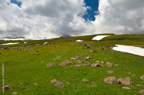 rocks, snow and blooming flowers on the slopes of Mount Aragats in spring (Aragatsotn province, Armenia) photo