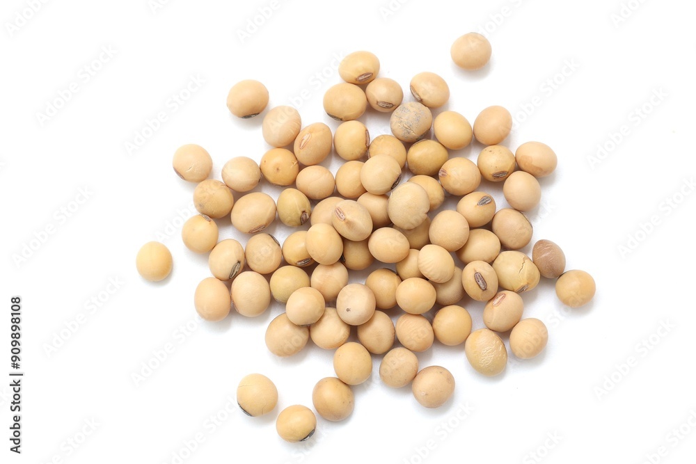 Soybean isolated on white background Soybean isolated on white background