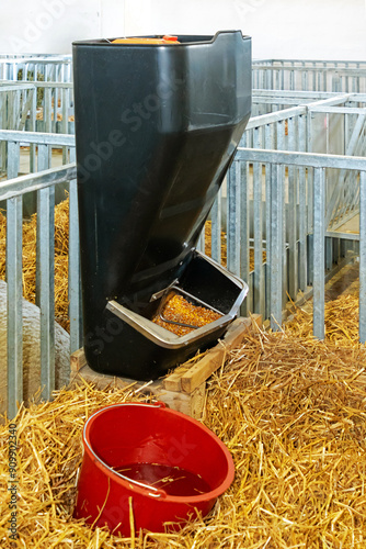 Automatic feeder used by sheep inside farm enclosure