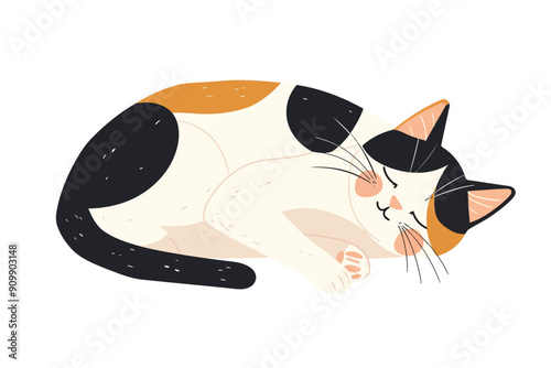 cat sleeping stock image isolated vector style