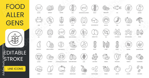 Food allergens line icons set vector with editable stroke, almond and apricot kernels, brazil nut and cashew, celery and chia, coconut and crustaceans, mollusks and cumin, dairy products and egg