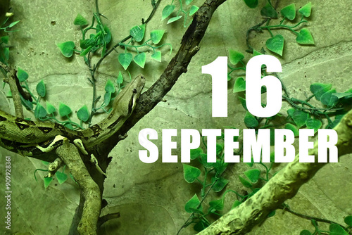 Calendar date on light green background with snake crawling on tree branch. September 16 is the sixteenth day of the month photo