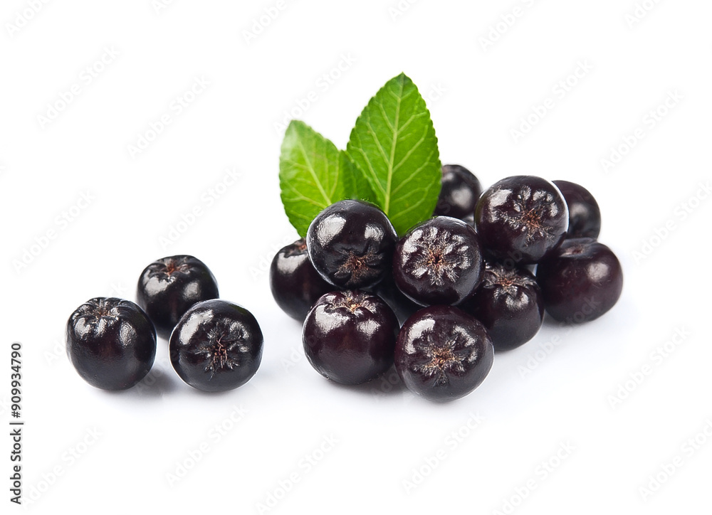 Aronia berries with leaves on white backgrounds Aronia berries with leaves on white backgrounds