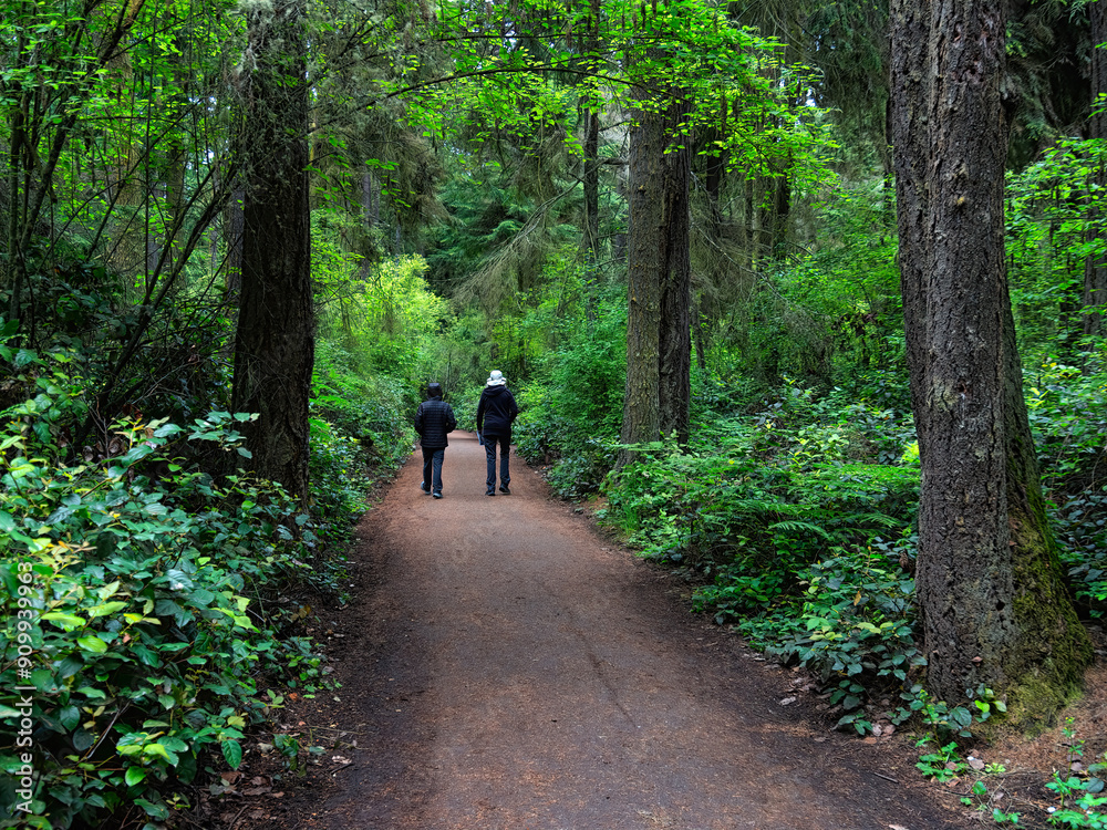 Through the forest Through the forest