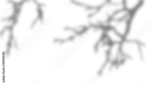 Transparent shadow of a bare tree branch, shadow overlay effects on a transparent background
