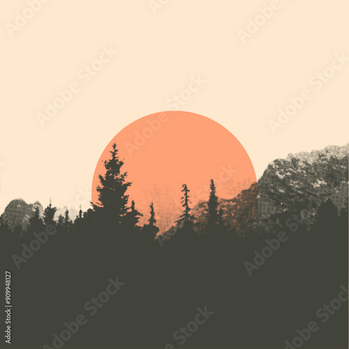 Silhouette of coniferous forest at sunset. Vector illustration.