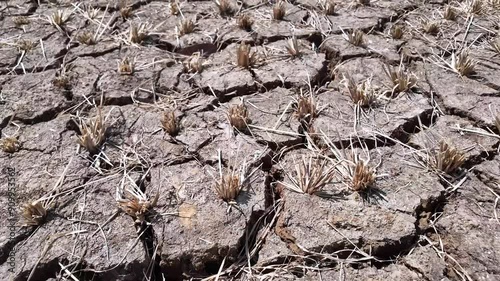 Cracked soil in paddy rice field. Drought, crop failure, global warming, climate change concept. Abstract texture background. Dried cracked earth ground texture.