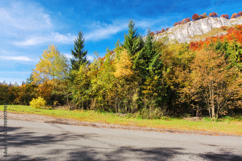 Naklejka premium asphalt country road in mountain in autumn. forest on the hill in fall foliage. sunny weather. road trip through countryside of romania