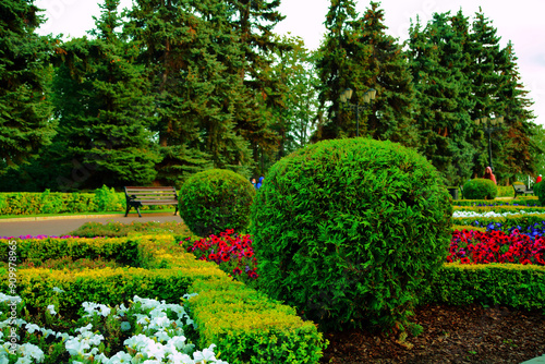 Flowers in the park.Flowerbeds are beautifully decorated with various flowers: roses, thuja, orchids, lilies, geocinths, daisies, Tulips.in flower garden.Colorful blooming fields and flower alleys.
 photo