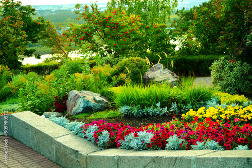 Flowers in the park.Flowerbeds are beautifully decorated with various flowers: roses, thuja, orchids, lilies, geocinths, daisies, Tulips.in flower garden.Colorful blooming fields and flower alleys.
 photo