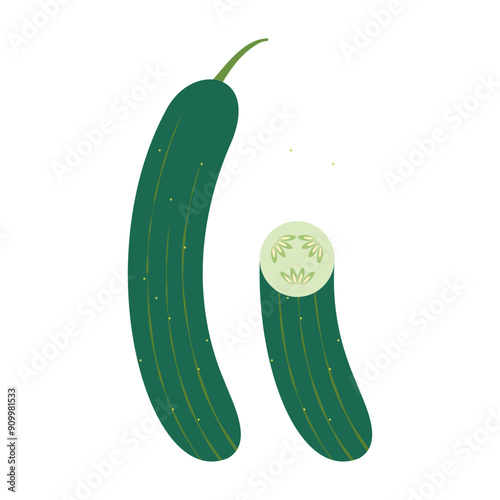 Natural Organic Vegetable cucumber, Healthy Vector Green Food