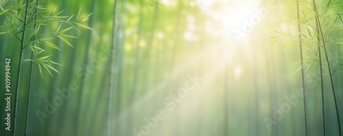 A serene bamboo forest with sunlight streaming through the lush greenery, creating a peaceful and tranquil atmosphere.