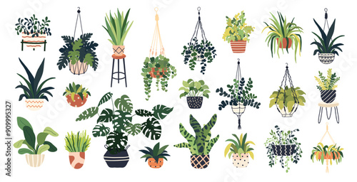 Plant pot set. Garden indoor home macrame plant, flowerpots. Green leaves flower jungle home. Monstera, succulent, fern houseplants for interior office decor. Vector flat hand drawn illustration