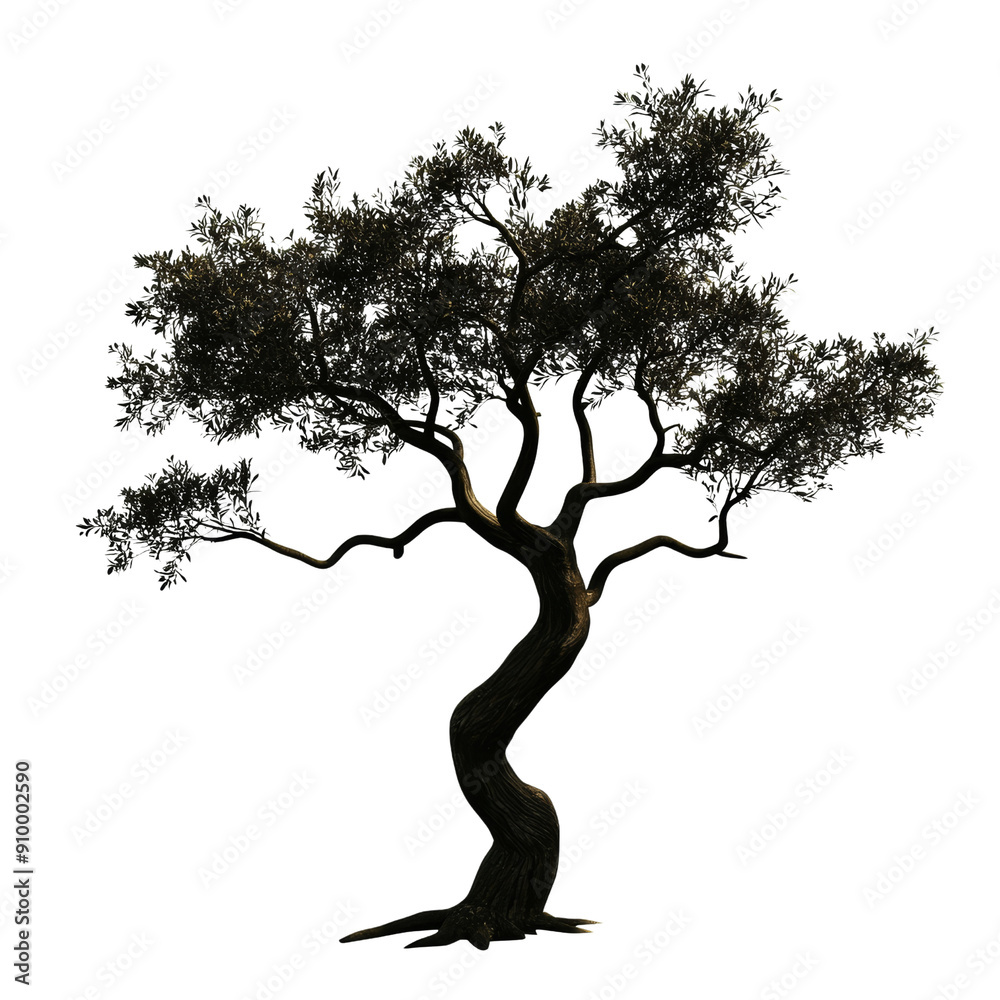 Majestic Olive Tree Silhouette Against Black Background with Intricate Branches and Leaves Majestic Olive Tree Silhouette Against Black Background with Intricate Branches and Leaves