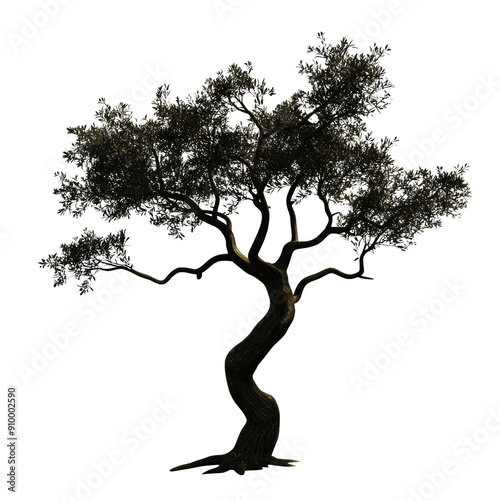 Majestic Olive Tree Silhouette Against Black Background with Intricate Branches and Leaves
