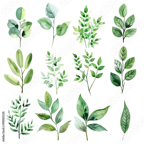 Set of watercolor green leaves elements. Collection botanical vector isolated on white background suitable for Wedding Invitation, save the date, thank you, or greeting card.