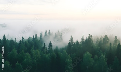 simple forest with morning fogs , Generative AI photo