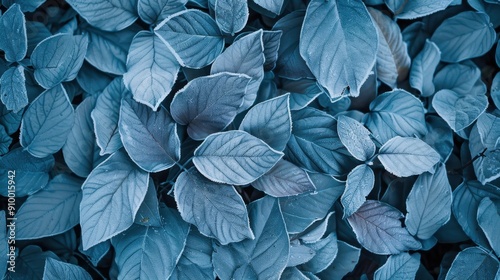 Obraz na płótnie A serene and artistic close-up of lush blue-toned leaves, highlighting nature's texture and beauty in a calming composition. w salonie