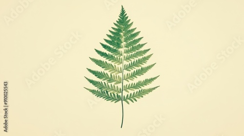 Minimalist Fern Leaf Illustration - Botanical Art Print