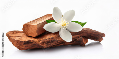 sandalwood and sandalwood powder, Jasmine flowers with green leaves isolated on a white background. isolated  