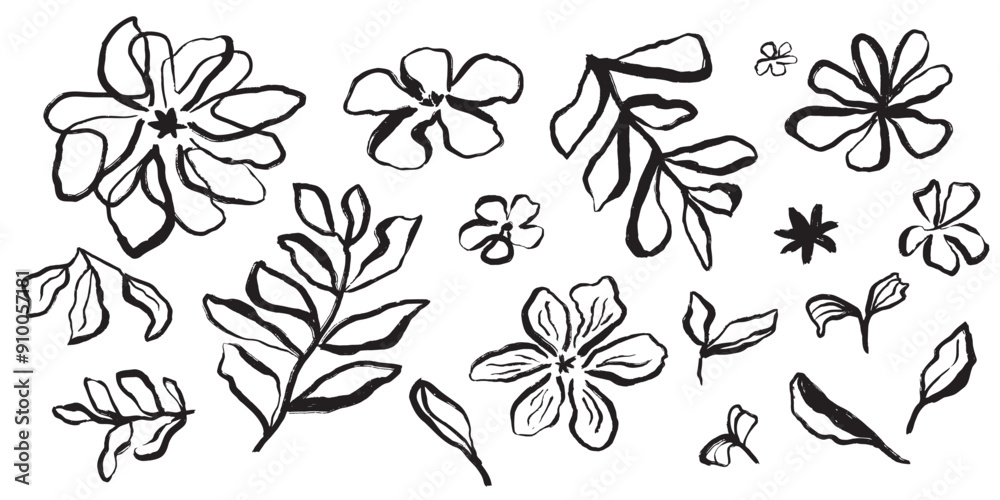 ack brush stroke flowers and leaves vector elements isolated on white. Simple hand drawn linear flowers set. Botanical illustration. Daisy hand painted clipart. Ink drawing wild plant herbs collection ack brush stroke flowers and leaves vector elements isolated on white. Simple hand drawn linear flowers set. Botanical illustration. Daisy hand painted clipart. Ink drawing wild plant herbs collection